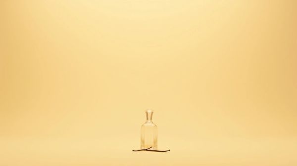 Tobacco vanille, l'essence d'un parfum unique de Tom Ford