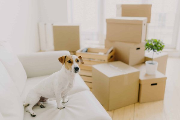 Comment choisir des escarpins confortables pour un événement où vous serez beaucoup debout ?