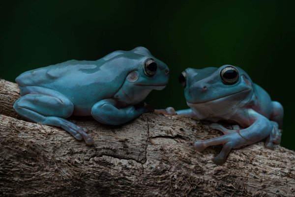 Peut-on marier des bijoux minimalistes avec une robe de soirée opulente?